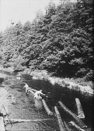 0011, PW 121,    1 Aug 1949, Logging on the Wenning
