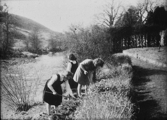 0262, PW 118,   1 Nov 1951, Gardening