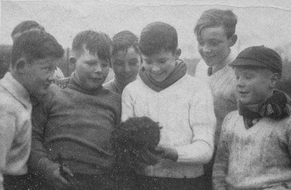 0414, C53 24D aka JR aw, 1 Apr 1953, Seven Boys and a Hedgehog