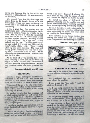 0628, C55 15,    6 Apr 1955, Articles
