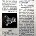 0630, C55 17,    6 Apr 1955, Articles