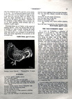 0630, C55 17,    6 Apr 1955, Articles