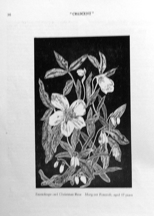 1078, C59 16, 22 Jul 1959, Drawing Margaret Foxcroft