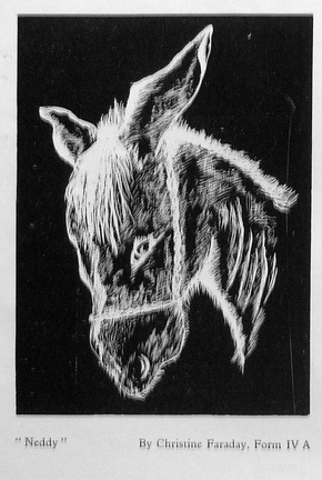 1281, C61 28E, 18 Apr 1962, Neddy by Christine Faraday