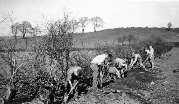0105.23, JW 100, 16 Sep 1950, Digging out the mid-field hedge