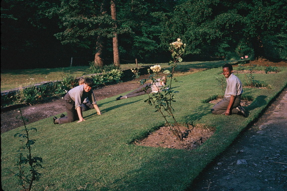 1311.05, JW 6137, 15 Apr 1964, Boys relaxing on the saide lawn near the river 