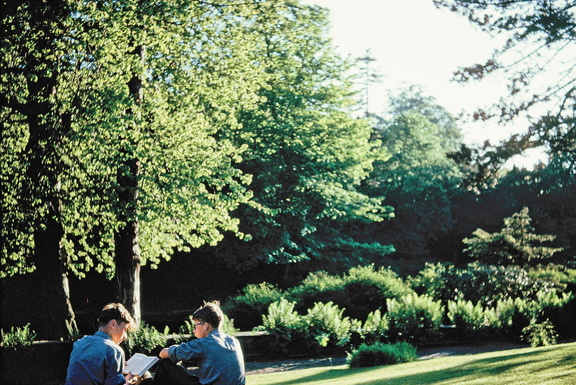 1040.30, JW 6125, 1 Jun 1958, Boys in summer sleeve order